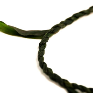 Tī Leaf - Image 4