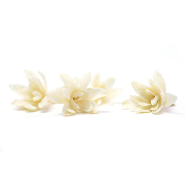 Tuberose - Image 3